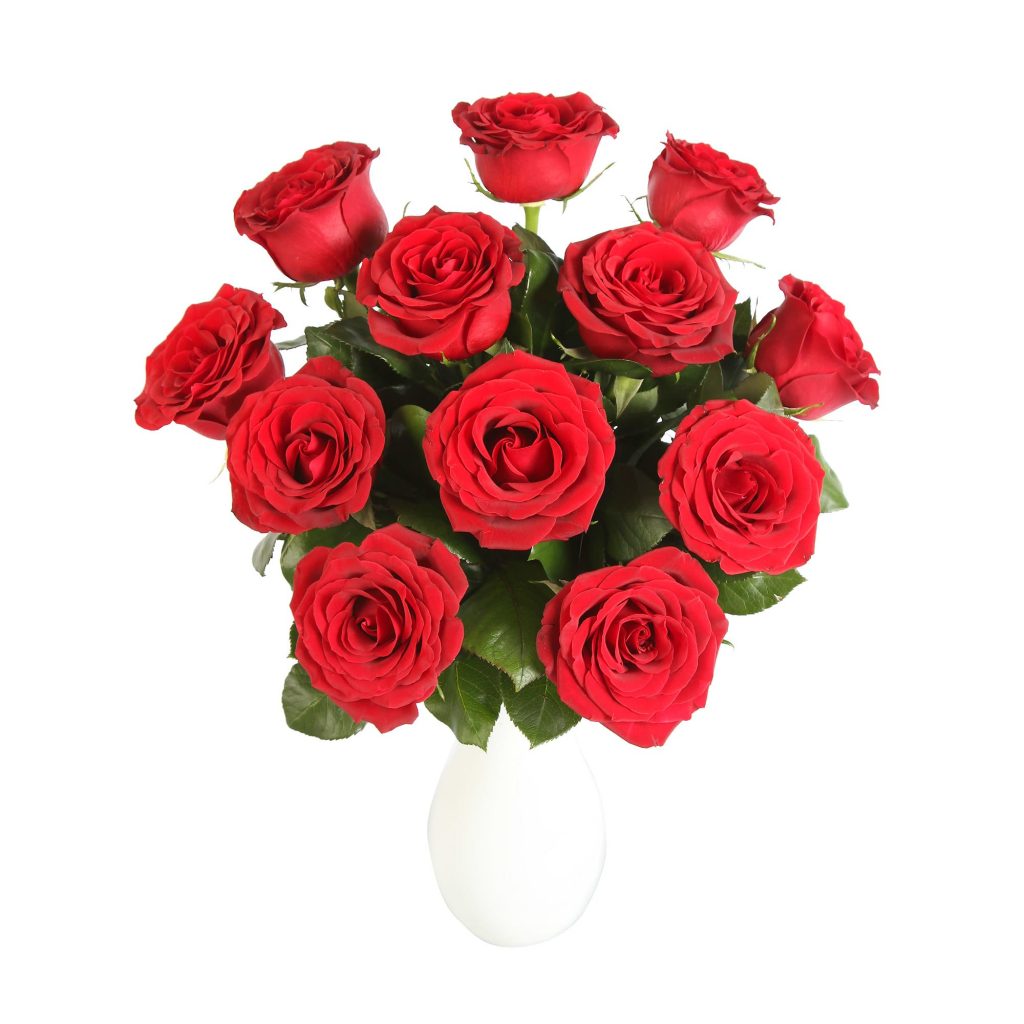 Top Flowers That Mean LOVE Top Flowers That Mean LOVE