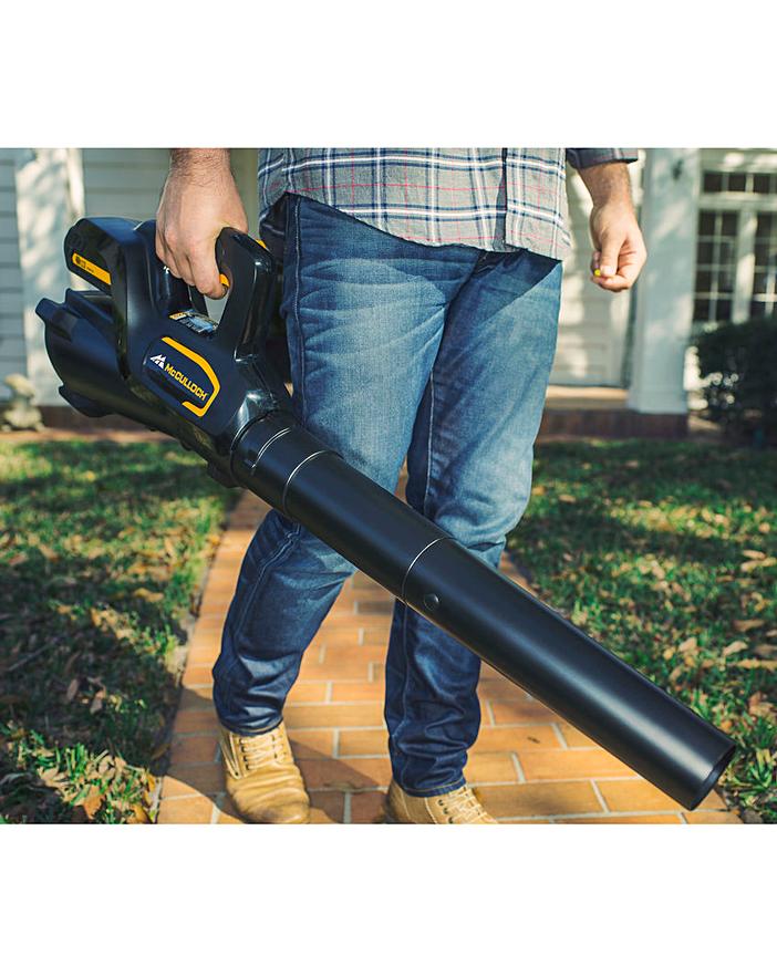 The Autumn Will Soon Be Here. Have You Chosen the Leaf Blower?