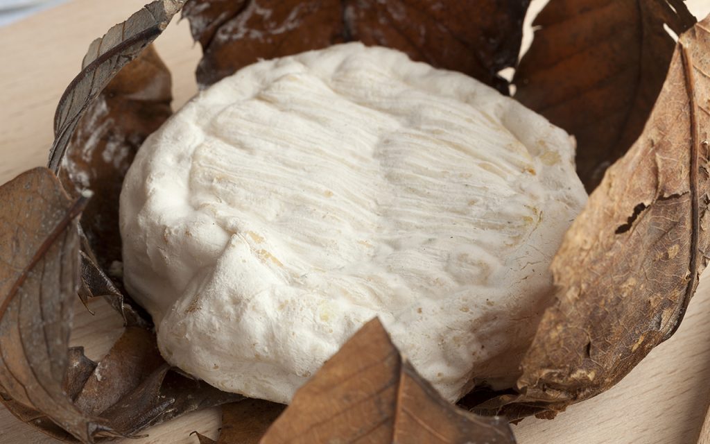 Banon AOC Cheese. The Choice You Won’t Regret