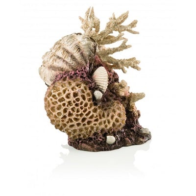 Decorations for the Aquarium? What Do You Need to Have? Decorations for the Aquarium? What Do You Need to Have?