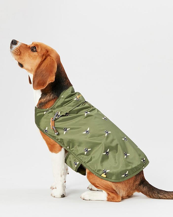 How to Choose a Proper Jacket for Your Dog?