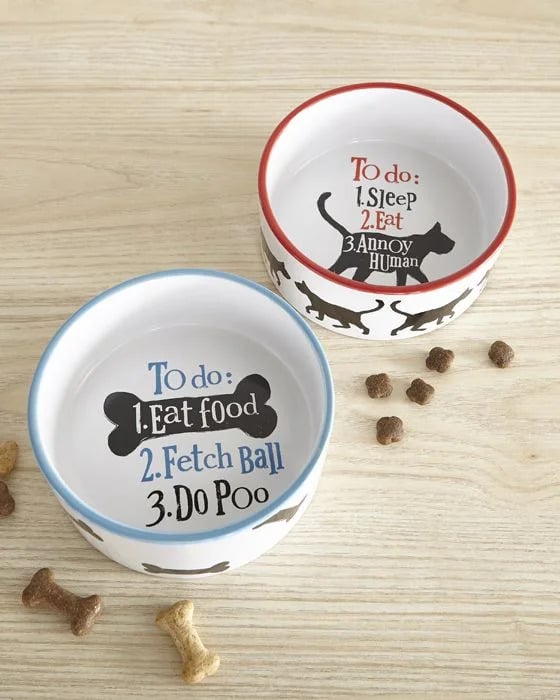 Get Your Dog the Best Bowl