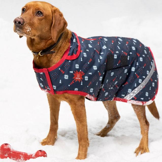 Keep  Your Lovely Pooch Always Warm with the Best Dog Jacket