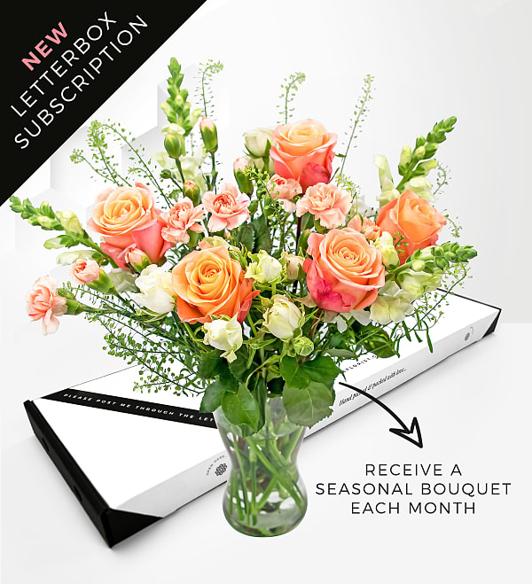 The Beauty of Letterbox Flowers. A Guide to Their Significance and Care
